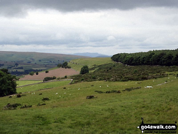 Looking across Knipescar Common to Blencathra