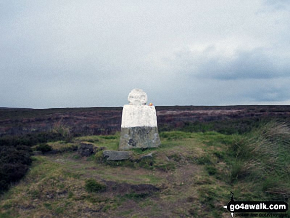 Fat Betty (White Cross) on Danby High Moor