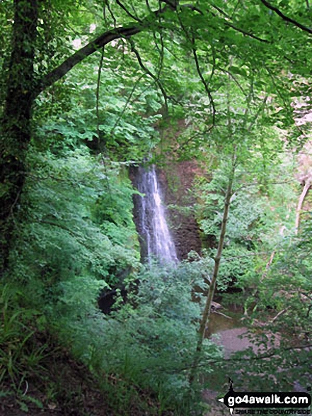 The waterfall at Falling Foss Tea Gardens, Sneaton Forest near Whitby