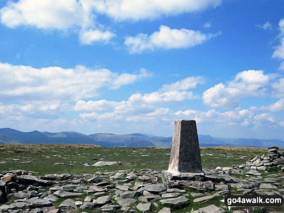 High Street summit Trig Point