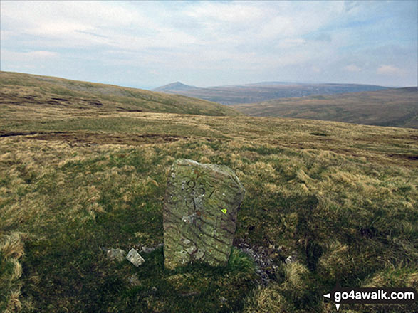 Walk c496 Tinside Rigg and Long Fell from Hilton - An interesting marker on the way to Long Fell