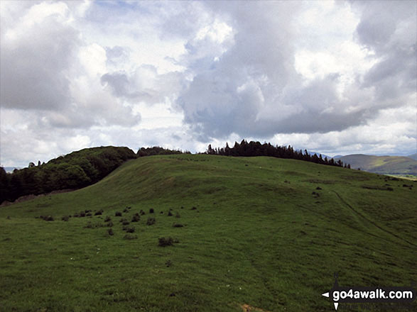 Setmurthy Common (Watch Hill) Photo by Christine Shepherd