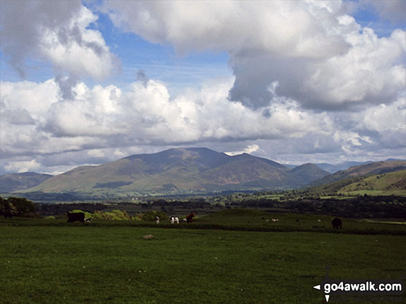 Walk c361 Clints Crags from Blindcrake - The Skiddaw Massif from the path up Clints Crags