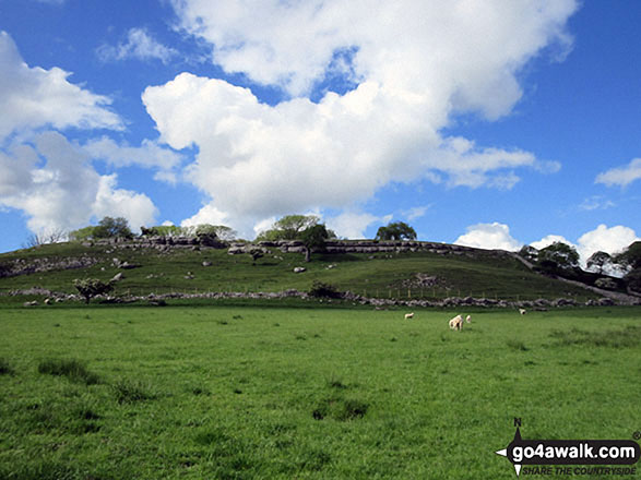 Walk c361 Clints Crags from Blindcrake - The Limestone escarpment on Clints Crags