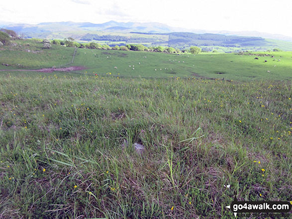 Walk c361 Clints Crags from Blindcrake - The tiny cairn on the top of Clints Crags