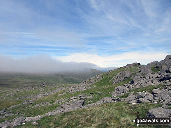 Walk c373 Stainton Pike, Whitfell and Buck Barrow from Broad Oak - The view from the path up Buck Barrow