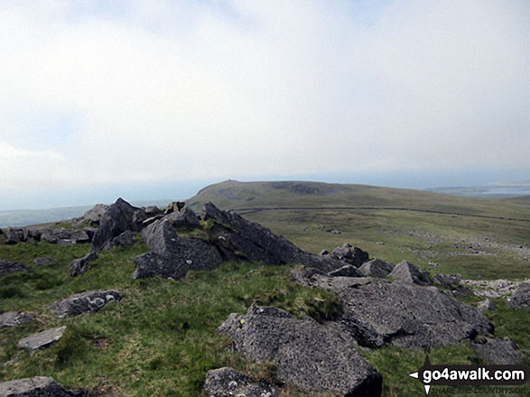 Walk c373 Stainton Pike, Whitfell and Buck Barrow from Broad Oak - Looking towards Kinmont Buck Barrow summit from Buck Barrow