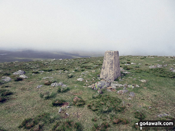 Walk c373 Stainton Pike, Whitfell and Buck Barrow from Broad Oak - Whitfell (Whit Fell) summit trig point