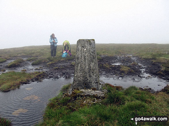 The bog surrounding the trig point of Killhope Law