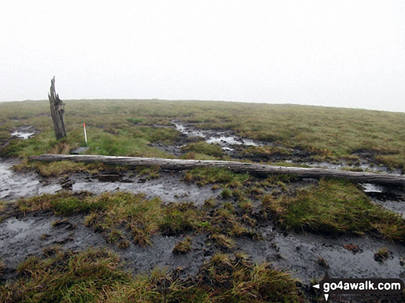 What's left of the 40ft pole on the summit of Killhope Law