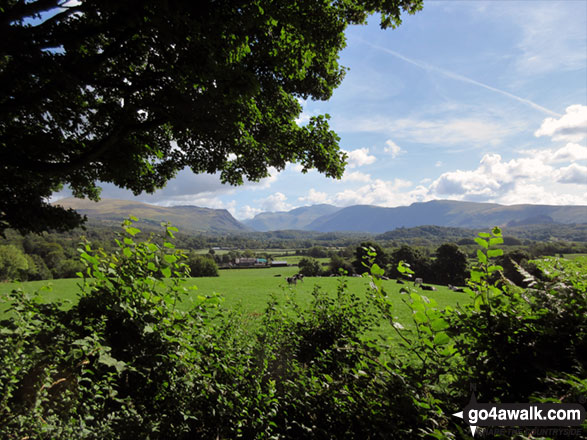 Walk c311 Ponsonby Fell from Gosforth - View from the approach to Ponsonby Fell through Blengdale Forest