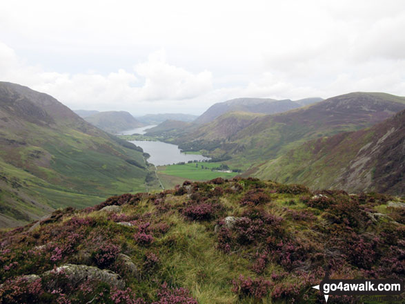 Walk c456 Fleetwith Pike, Hay Stacks, Brandreth and Grey Knotts from Honister Hause - Buttermere and Crummock Water from Green Crag (Buttermere) summit