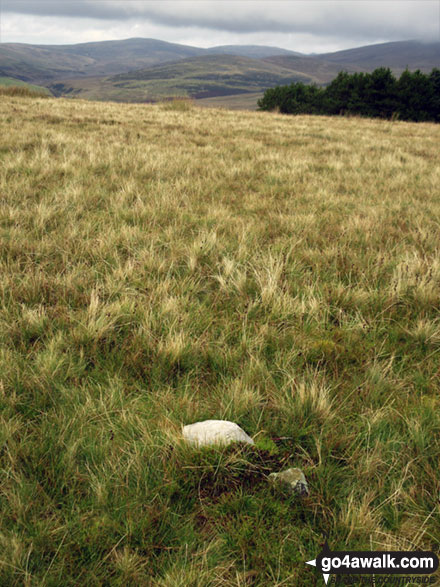 Walk c410 Dent (Long Barrow) and Flat Fell from Wath Bridge, Cleator Moor - The view from Cold Fell (Cleator Moor)