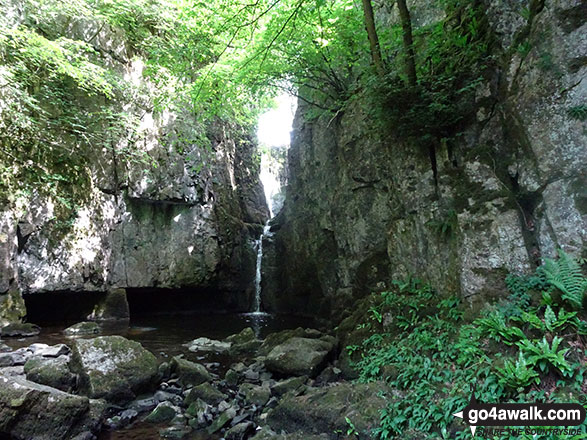 Catrigg Foss