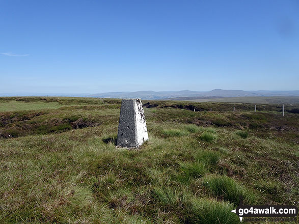 Walk l155 White Hill (Forest of Bowland) and Crutchenber Fell (Bowland Knotts) from Cross of Greet Bridge - White Hill (Forest of Bowland) summit trig point