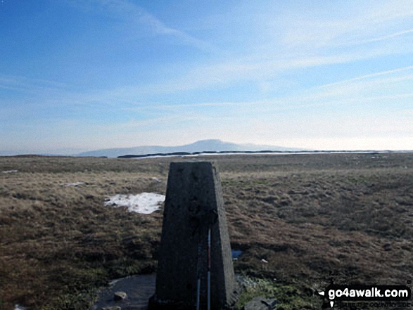 Walk ny129 Gragareth and Great Coum from Leck Fell House - Gragareth summit trig point