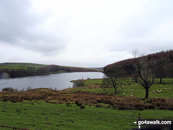 Walk ch122 Jenkin Chapel and Yearns Low from Lamaload Reservoir - Lamaload Reservoir