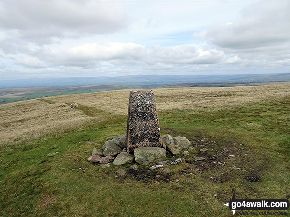 Walk c422 Hooksey, Randygill Top and Green Bell from Bowderdale Foot - Green Bell Summit Trig Point