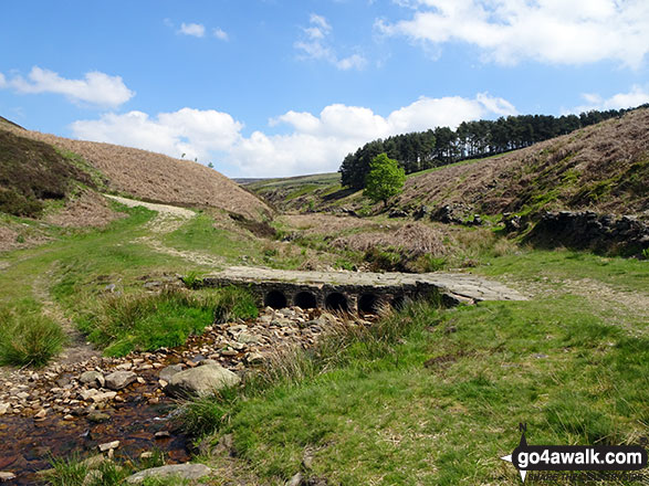 The stone bridge over Ogden Brook