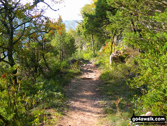 Walking trail in the Parc Naturel Regional des Grands Causses