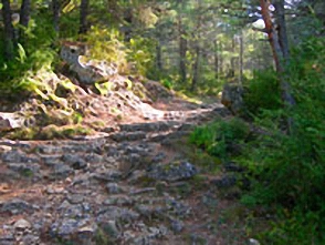 Walking in Averyon, France - The trail through the pine forests