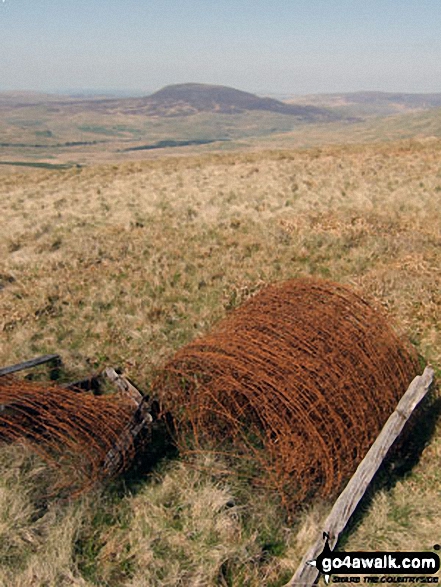 Walk gw119 Arenig Fawr (Moel Yr Eglwys), Moel Llyfnant and Gallt yDaren via Llyn Arenig Fawr from Pont Rhyd-y-Fen - Arenig Fach from a rusting fence roll on the lower slopes of Moel Llyfnant