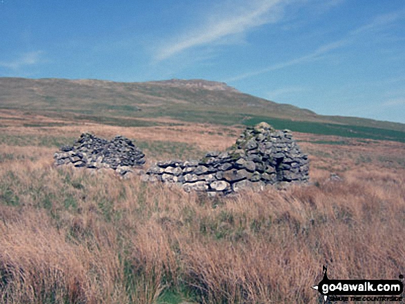 Walk gw119 Arenig Fawr (Moel Yr Eglwys), Moel Llyfnant and Gallt yDaren via Llyn Arenig Fawr from Pont Rhyd-y-Fen - Ruin on the lower slopes of Moel Llyfnant