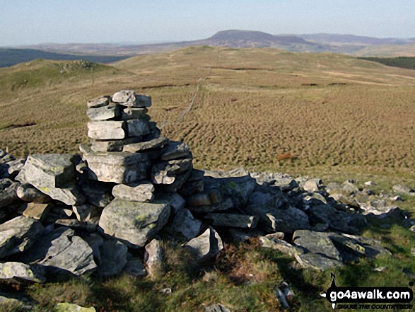 Bwlch y Bi summit with Arenig Fach in the distance