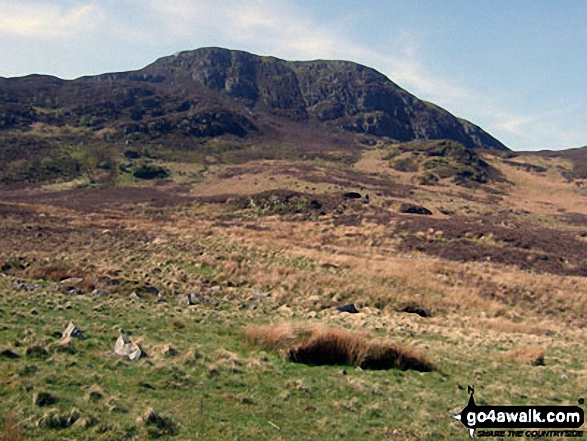 Walk gw119 Arenig Fawr (Moel Yr Eglwys), Moel Llyfnant and Gallt yDaren via Llyn Arenig Fawr from Pont Rhyd-y-Fen - Arenig Fawr from near Pant-yr-Hedydd