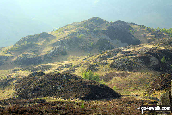 King's How from Grange Fell (Brund Fell)