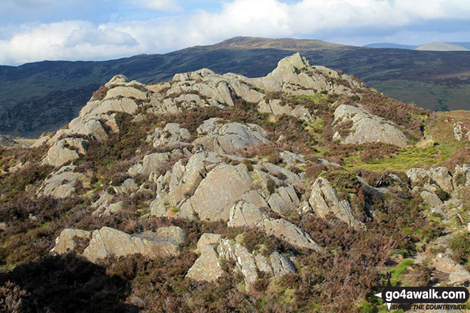 Walk c369 High Raise, Ullscarf and Grange Fell from Rosthwaite - The rocky summit of Grange Fell (Brund Fell)