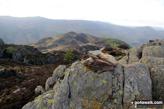 Walk c369 High Raise, Ullscarf and Grange Fell from Rosthwaite - Tiny cairn on Grange Fell (Brund Fell)