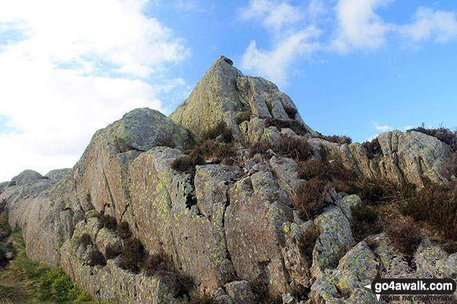 Walk c369 High Raise, Ullscarf and Grange Fell from Rosthwaite - Grange Fell (Brund Fell)