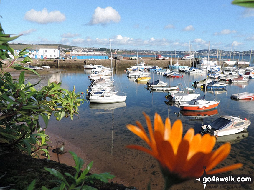 Paignton Harbour from the South West Coast Path (SWC)