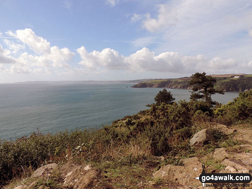 On the South West Coast Path (SWC) near Inner Forward Point