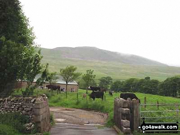 Walk ny101 The Yorkshire Three Peaks from Horton in Ribblesdale - Whernside from Broadrake Farm