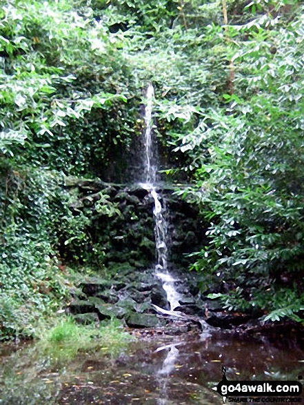 Walk su100 Leith Hill from Friday Street - Waterfall near Stable Copse