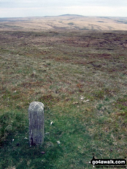 Drygarn Fawr from a boundary stone on Gorllwyn (Pen y Gorllwyn)