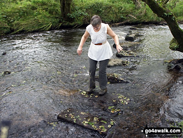 The Stepping Stones over River Loud