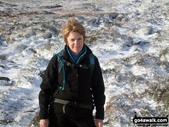 On a frozen Donard Bog at the top of the Bloody Bridge path