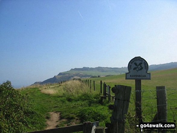 Walk ny155 Ravenscar from Robin Hood's Bay - On The Cleveland Way near Ravenscar