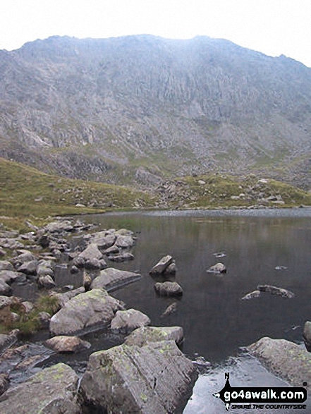 The Glyderau from Llyn Bochlwyd