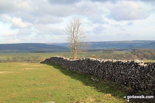 Walk d105 Over Haddon and Lathkill Dale from Monyash - Fields above Over Haddon