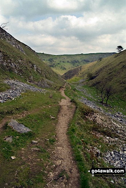 The trail through Tansley Dale