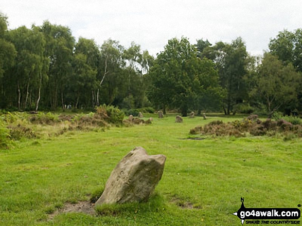 Walk d199 Stanton Moor from Rowsley - Nine Ladies Stone Circle from Ther King Stone