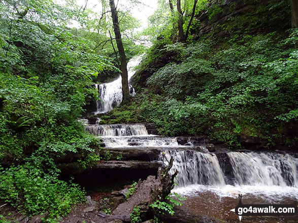 Walk ny165 Victoria Cave and Catrigg Force from Settle - Scaleber Force