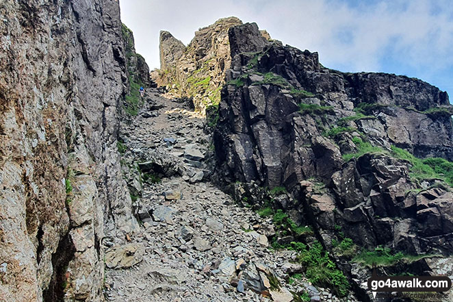 Walk c284 Great Sca Fell and High Pike from Fell Side - Lord's Rake in between Sca Fell and Scafell Pike