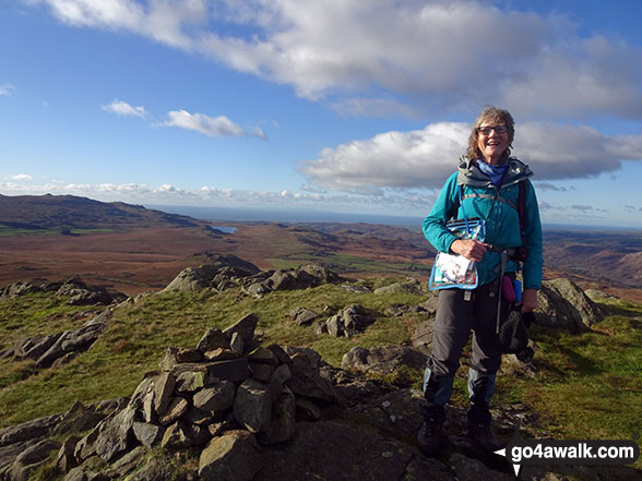 Walk c280 Hard Knott from Jubilee Bridge, Eskdale - On Green Crag (Ulpha Fell)