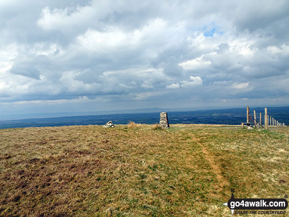 Walk c275 Darling Fell, Low Fell and Fellbarrow from Loweswater - Fellbarrow summit trig point