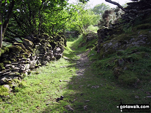 Footpath near Ty Mawr Wybrnant